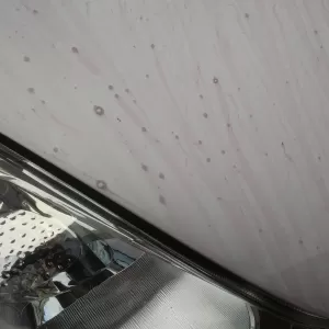 鉄粉取り　しました！のサムネイル